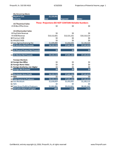 Filmmaker's Streaming Release Financials Package