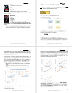 Core Audience Analysis