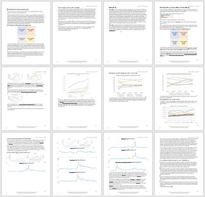 Core Audience Analysis