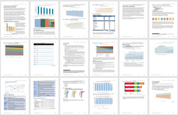 Complete Business Plan Package