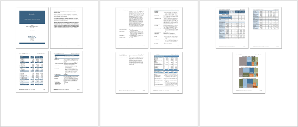 Complete Business Plan Package